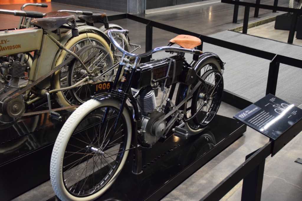 DSC_0041Mittel_.JPG